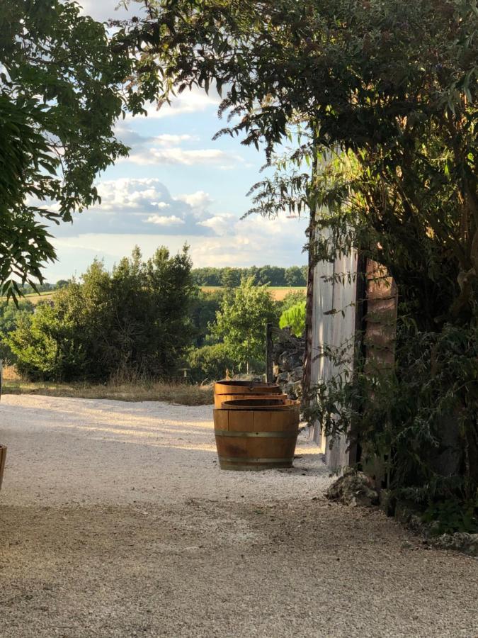 Le Gite De La Maison Des Chats - Gite En Quercy Saint-Amans-du-Pech Exterior photo
